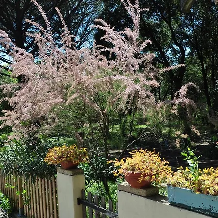 Le Mazet Des Cigales *